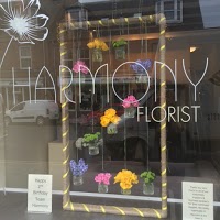 Harmony Florist 1073937 Image 8